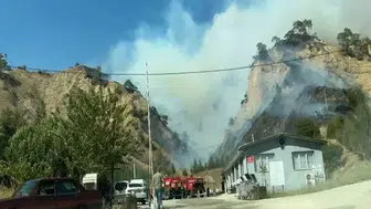 Aydın'da orman yangını