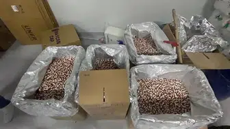 4 milyon sentetik ecza hap ele geçirildi