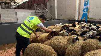 Kurban bağışları yerine ulaştı! Ülkü Ocakları bayramda yüzleri güldürdü