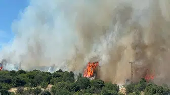 Çanakkale'de ormanda yangın