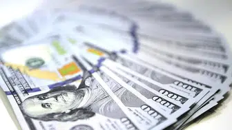 Dolar, 40 yılın en yüksek seviyesini gördü