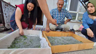 Konyalı üreticilere müjde: Böcek üretimi Konya ekonomisine değer katacak!