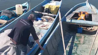 Beyşehir'de balık denetimleri sıklaştı! Boy sınırına uymayana geçit yok