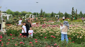Karatay'ın lavanta ve gül bahçelerine ziyaretçi akını