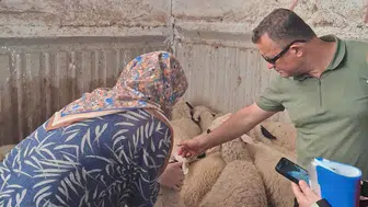 Selçuklu'da hayvan sağlığı için saha denetimi
