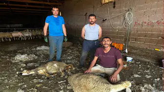 Büyükşehir'den üreticiye ücretsiz veteriner desteği