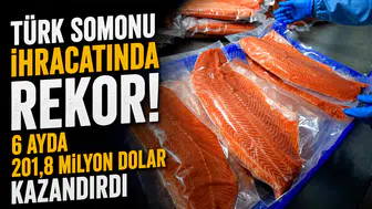 Türk somonu ihracatında rekor! 6 ayda 201,8 milyon dolar kazandırdı
