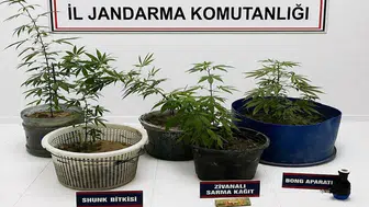 Uyuşturucu operasyonunda 3 gözaltı