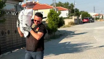 Konya'da bedava un dağıtılıyor: Ev adresine teslim ediliyor!