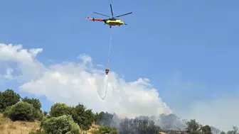 Orman yangını soruşturmalarında 12 şüphelinin tutuklandı