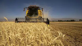 Türkiye tarımda rekora koşuyor! Bitkisel üretim 140 milyon tona ulaşacak