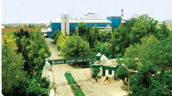 Konya Şeker’den üreticiye 32,9 Milyon TL’lik patates avansı!