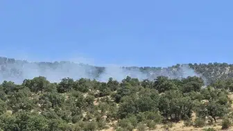 Konya'da orman yangını!