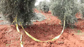 Traktörden düşen çiftçi öldü