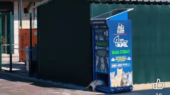 Konya'da can dostlar için müjde: Güneş enerjisi ile çalışan mamamatik devrede!