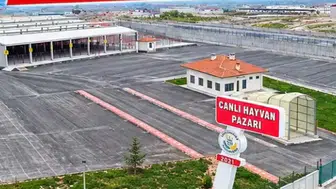 Konya'nın hayvan pazarı kapatıldı!