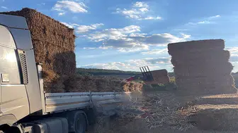 Üzerine saman balyası düştü, öldü