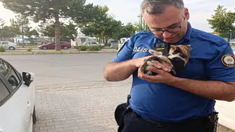 Konya'da otomobilin motor bölümüne giren kedi polis ekiplerince kurtarıldı