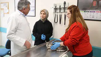 Selçuk Üniversitesi Hayvan Hastanesi’nden Büyük başarı: 21 bin hayvana şifa oldu!