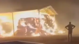 Konya'da feci yangın: Rüzgarın etkisiyle büyüdü!