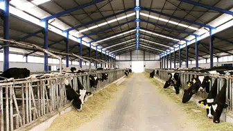 Konya’da üreticiye can suyu: Bugün hesaplara yatırılıyor!