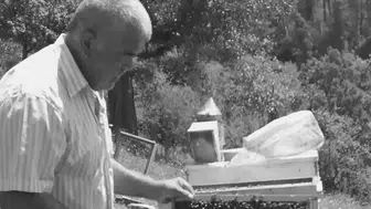 Kestiği ağacın altında kalıp öldü