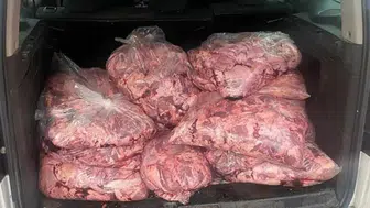 Ticari araçta 450 kilo bozuk et ele geçirildi