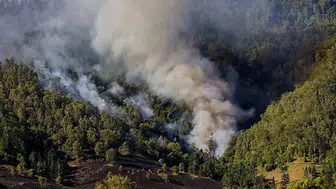 Avustralya'da orman yangınları devam ediyor