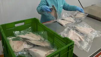 Su ürünleri ve hayvansal mamulleri ihracatı 4 milyar doları aştı