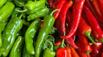 İhracat şampiyonu biber oldu