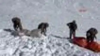 348 kilo uyuşturucu ele geçirildi