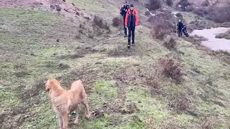 Kayıp kadını arama çalışmaları 10'uncu gününde