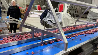 Konya'da gıda denetçileri sahada!