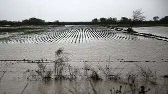 Konyalı çiftçinin beklediği açıklama geldi: O tarihe dikkat!