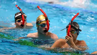 Konya'da Paletli Yüzme Türkiye Şampiyonası sona erdi