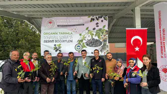Konya'da kritik böğürtlen hamlesi: 3 bin 300 adet dağıtıldı!