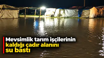 Mevsimlik tarım işçilerinin kaldığı çadır alanını su bastı
