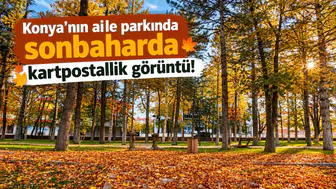 Konya'nın aile parkında sonbaharda kartpostallık görüntü!