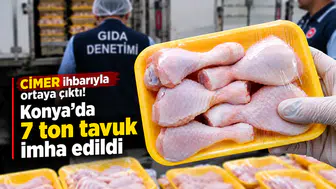 CİMER ihbarıyla ortaya çıktı! Konya'da 7 ton tavuk imha edildi