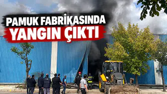 Pamuk fabrikasında yangın çıktı