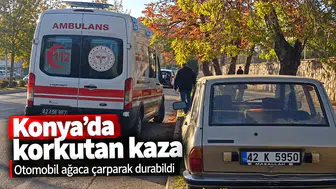 Konya'da korkutan kaza: Otomobil ağaca çarpıp durabildi!