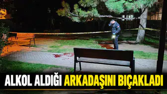 Alkol aldığı arkadaşını bıçakladı