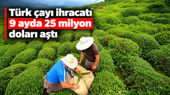 Türk çayı ihracatı 9 ayda 25 milyon doları aştı