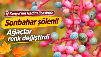 Konya’nın Hadim ilçesinde sonbahar şöleni! Ağaçlar renk değiştirdi