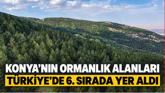 Konya'nın ormanlık alanları Türkiye’de 6. sırada yer aldı
