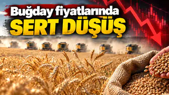 Buğday fiyatlarında sert düşüş