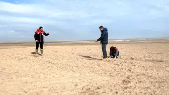 Konya'da 13 bin 500 dekarlık bitkiye sıkı takip!