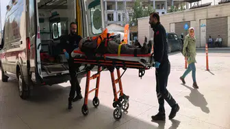 Budadığı ceviz ağacından düşüp yaralandı