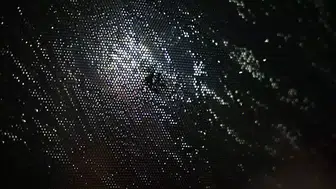 Trabzonspor’dan takım otobüsüne taşlı saldırıya açıklama