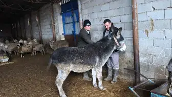 Konya’da hayvan hastalıklarına geçit yok!